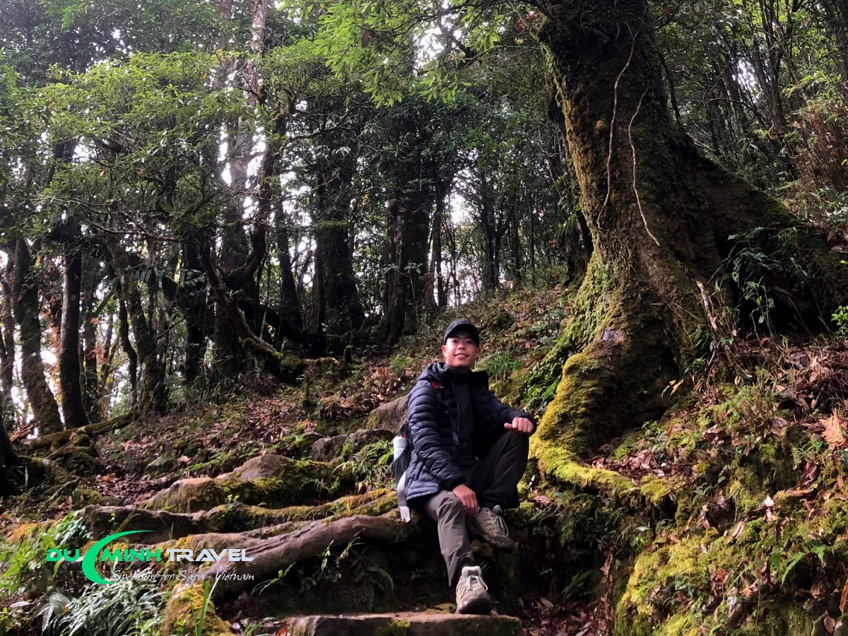 1-Day Fansipan Adventure