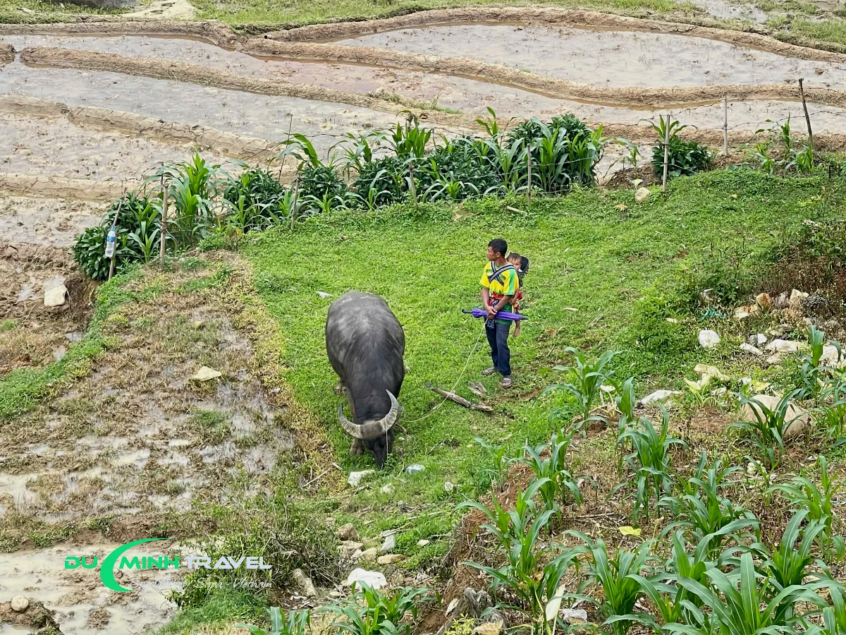 Top Tips for Visiting Lao Chai Village