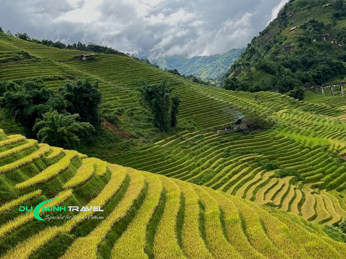 Discover Sapa’s Iconic Terraced Fields and Scenic Trails in Lao Chai