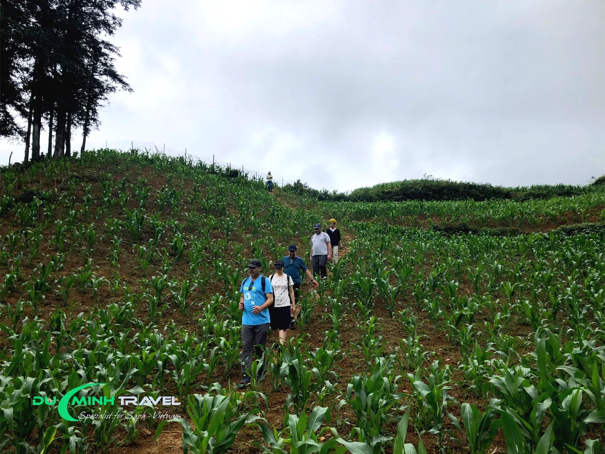 Choose Duc Minh Travel Multi-Day Trekking Tours Sapa