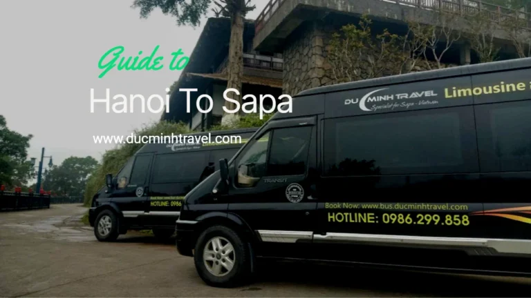 Duc Minh Travel (2)