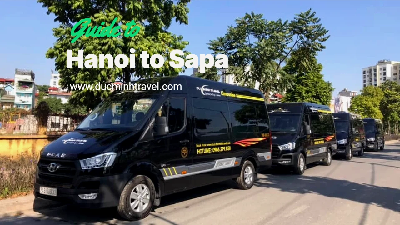 Duc Minh Travel Hanoi to Sapa Limousine Transfer With Luxury Vans