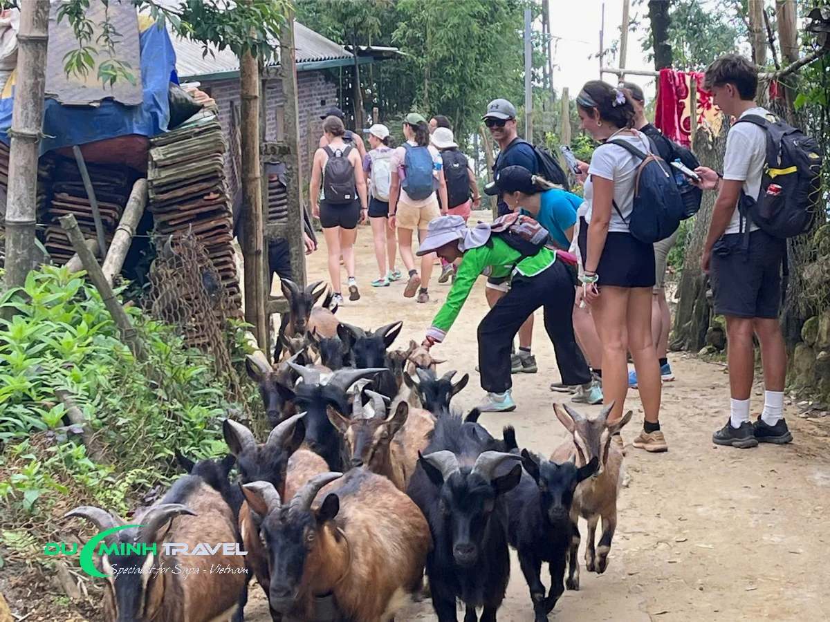 Enjoy Scenic Views and Interact with Locals