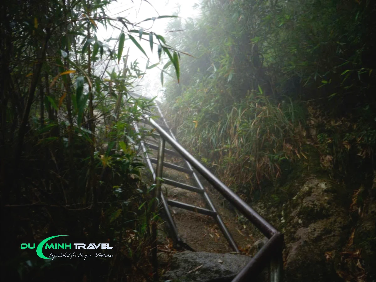How to Prepare for the Fansipan Adventure Trek