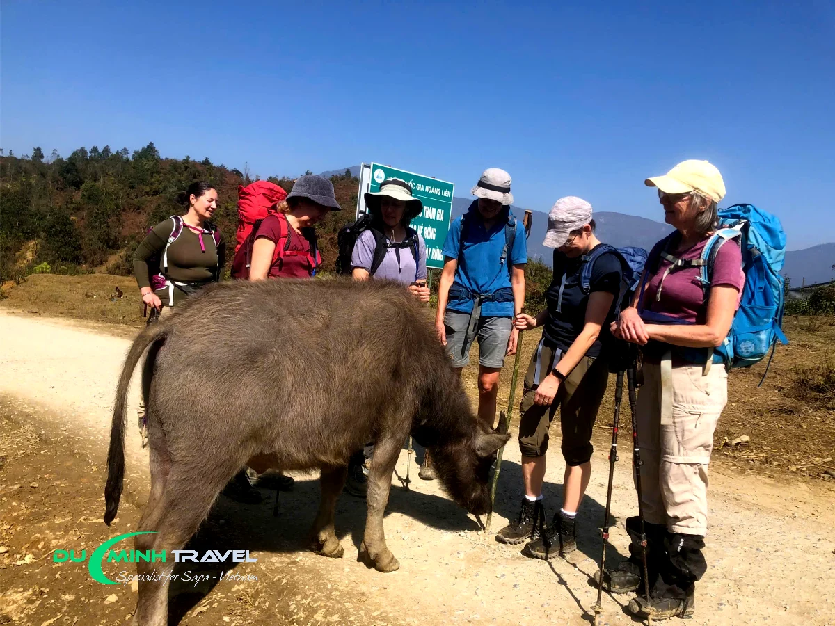Must-Stop Spots From Lao Cai to Hidden Hillside Views