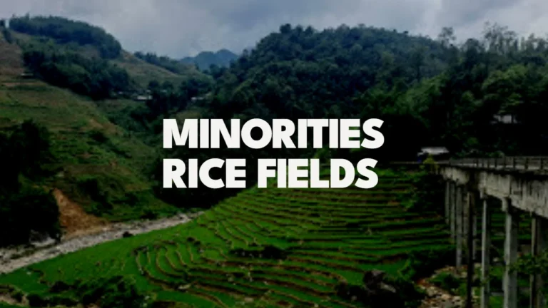 Sapa Minorities, rice fields and bamboo forest - 1 day