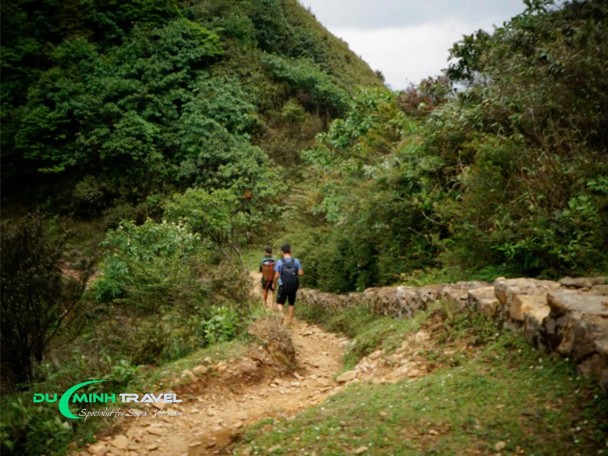 Sapa to Fansipan The Route of the 1-Day Trekking Tour