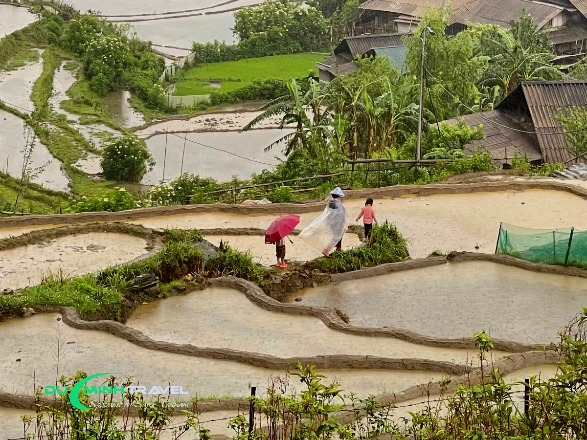 Stay at Duc Minh Travel Sapa Centre Hotel Today