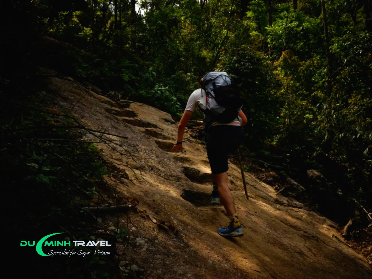 Trekking Fansipan in One Day Is a True Challenge