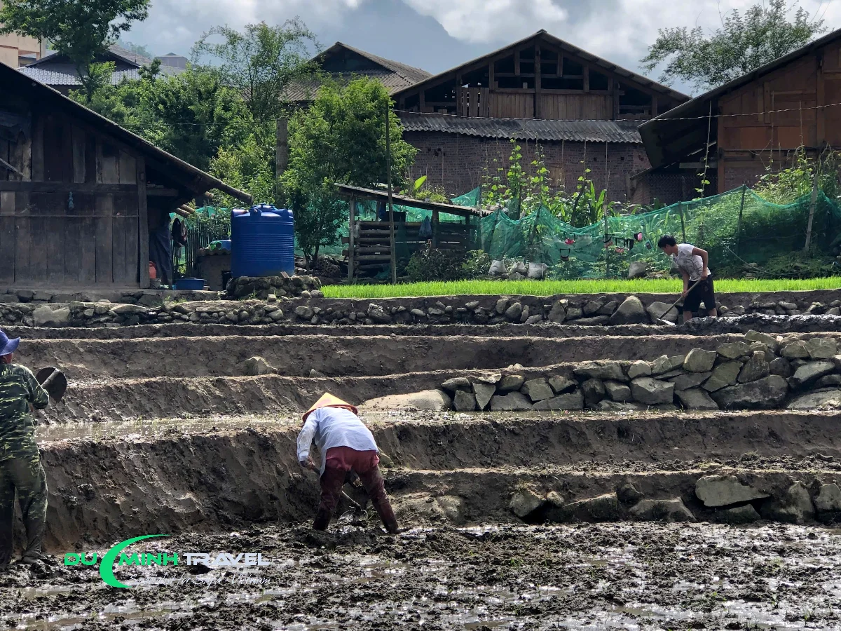 What to See and Do in Lao Chai Village