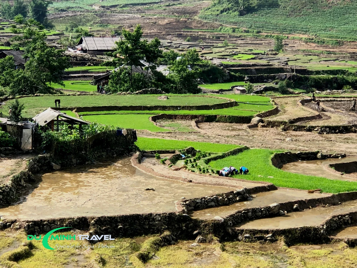 Why Choose Duc Minh Travel for Your Lao Chai Village Tour